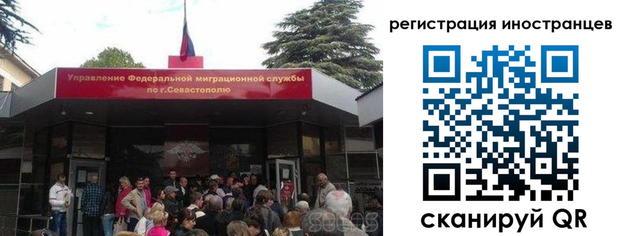прописка в Сафоново